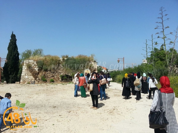 shamela jawla ard (9).JPG